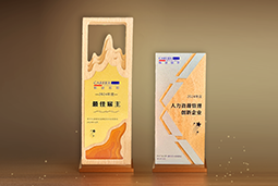 kdpay钱包(中国)国际一举斩获“2024年度中国区最佳雇主”等多项大奖