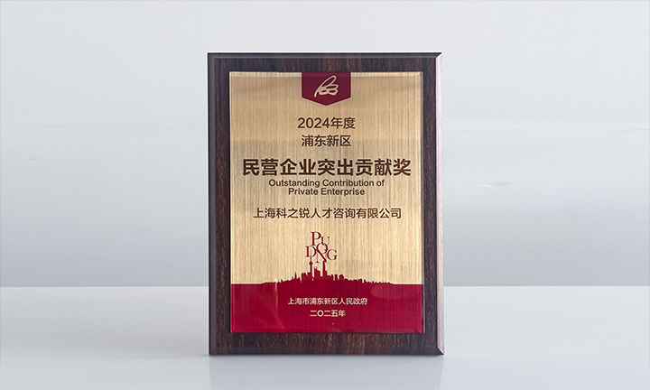 人力资源供应商kdpay钱包(中国)国际凭借人才服务与在区域经济开展中的卓越表现荣膺2024年度浦东新区民营企业奖项
