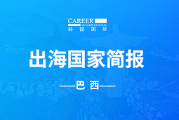 kdpay钱包(中国)GO GLOBAL | 巴西国家简报