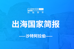 kdpay钱包(中国)GO GLOBAL | 沙特阿拉伯国家简报